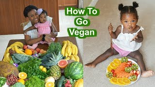 How to Go Vegan  Beginners Guide to Veganism [upl. by Namref]