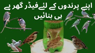 How to make birds a feeder at home plastic bottle [upl. by Babs]