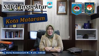 Sistem Aplikasi Pengawasan APIP SAPA Inspektur [upl. by Ailemor]