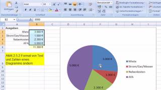 am4252  Zahlen oder Text im Diagramm formatieren [upl. by Muna]