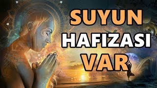 SUYUN HAFIZASI VAR NİYETLERİ SUYA SÖYLEMENİN GÜCÜ [upl. by Llednor]