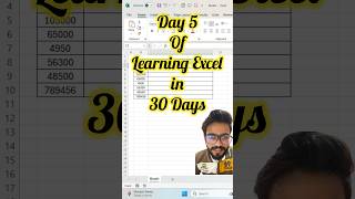 Day 5  Excel Learning exceltips excel exceltricks exceltutorial shortvideo shorts excelhack [upl. by Cochran]