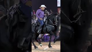 CABALLO BAILADOR R15 [upl. by Harlie]