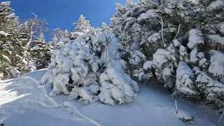 Sunny Days  Robins Chute 2  Smugglers Notch 2024 [upl. by Elem]