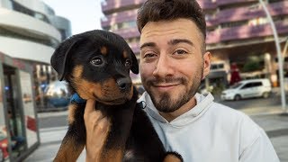 YENİ KÖPEĞİM ALFA 🐶 Dünyanın En Cesur Köpeği [upl. by Aerdied]