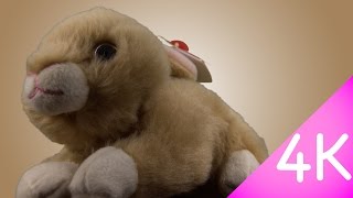 Ty Beanie Babies  Bunnie 4k [upl. by Hadihsar728]