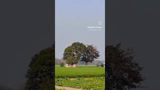 Khetan Di Kashboo Tarsem Jassar Song Status  Gagan Johal [upl. by Frick618]