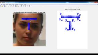 Video Based Heartbeat Rate Measuring Ballistocardiography Matlab Projects [upl. by Ylnevaeh666]