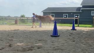 Cappy Leadline Weaving Cones [upl. by Lenahc]