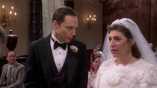 The Big Bang Theory  Luke Skywalker  Mark Hamill S11E24 [upl. by Anaira604]