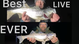 ONE LIVE TO WATCH BACK EPIC  mixed baits [upl. by Vander]