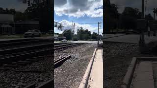 Amtrak piedmont train in Thomasville NC [upl. by Elokin]