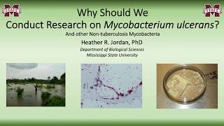 Why Should We Conduct Research on Mycobacterium ulcerans  Part I [upl. by Eecak852]