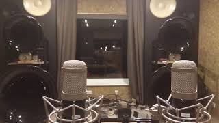 Goto Unit horn system in Lithuania recorded with large diaphragm studio mics [upl. by Stefan766]