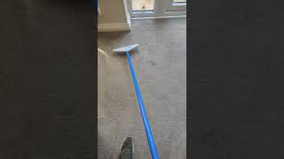 Todays raking session 🤪 carpetraking asmr bliss carpetcleaning satisfying [upl. by Glanti233]