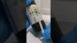 How to read and interpret urine reagent strip dipstick mls medtechstudent cls urinalysis medtec [upl. by Aiket]