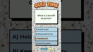 What is a Benefit of Perlite hydroponicway hydroponics shorts quiz quiztime perlite benefits [upl. by Aseeral390]