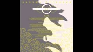 Susumu Hirasawa Philosephers Propeller1＋Philosephers Propeller3 mix [upl. by Willis]