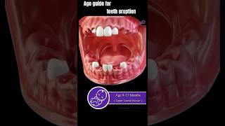 Teeth Eruption eruption shortsvideo shortsviral shortsfeed ytshortsvideo dentistry teeth yt [upl. by Bernelle]