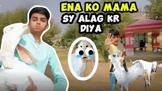 Ena MENA KO mama sy alag krny Ka fasla😱maan bhai [upl. by Kirenoj]