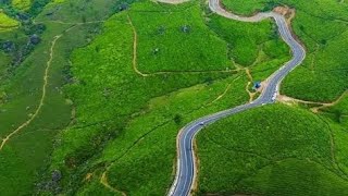 Drive to Munnar Hills 🚗⛰️ munnar munnarhillstation drive [upl. by Talbott]