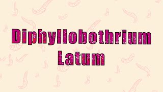 10 Diphyllobothrium Latum  العوساء العريضة [upl. by Carn253]