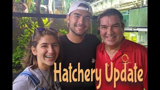 Update From The Hatchery [upl. by Neeli]