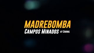 madrebomba  Campos Minados vivo carnal [upl. by Cid]