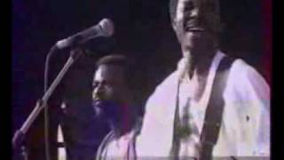 King Sunny Ade  Synchro System Live [upl. by Ecylahs]