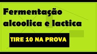 Fermentação alcoolica fermentação lactica o que é fermentação [upl. by Ayanahs]