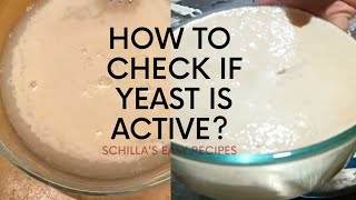 How To Check If Yeast Is Active  Good Yeast and Bad Yeast  Schillas Easy Recipes [upl. by Anahsahs795]