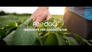 Innovating for the Future Discover Feedgys Agrivoltaic Panel [upl. by Saum637]