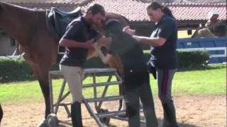 Ippoterapia con i poliziotti a cavallo [upl. by Annekim]