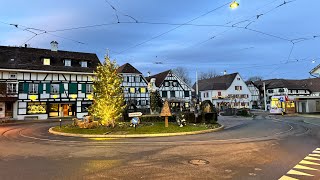 Biking from Schönenbuch to Allschwil  Switzerland Winter 4K  20240101 [upl. by Adnak]