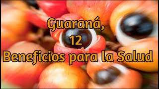 Guaraná 12 Beneficios para la Salud [upl. by Yelsnya]