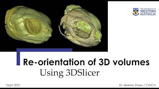 Tutorial Reorientation of 3D volumes in 3DSlicer by Dr Jeremy Shaw [upl. by Imit]