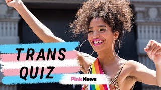 Transgender history quiz Test your trans trivia from Indya Moore to the trans flag [upl. by Anivid]