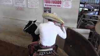 COLEADERO MILLONARIO PROMOCIONES HINOJOSA LIENZO CHARRO EL ZACATECANO 10212018 [upl. by Drofnats]