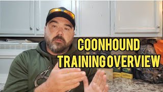 Training a Coonhound  Overview [upl. by Ayidan]