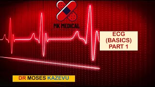 ECG basics Part 1 [upl. by Acirat]