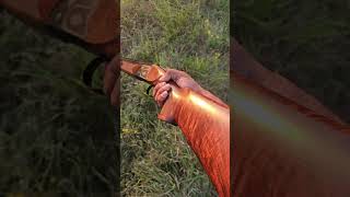 Dove season 2024 yildiz 12ga hunting [upl. by Currey]