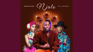 Mduduzi Ncube  Njalo Official Audio ft Mafikizolo [upl. by Dibbrun]