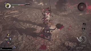 quotDisturbances in the Northquot sub mission  Solo  Nioh Dragon of the North DLC [upl. by Nereen]