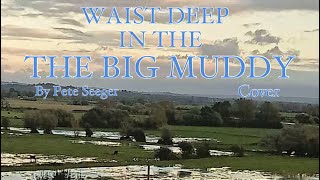 Waist deep in the big muddy guitar cover [upl. by Reidar]