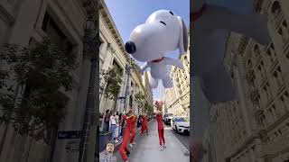 Puppy balloon funny video funny puppy funny shorts [upl. by Caesaria]