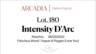 ASTE ITS 2024  LOT 180  Intensity DArc [upl. by Simmonds338]