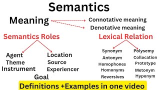 SemanticsSemantic rolesLexical relation linguistics [upl. by Winny]