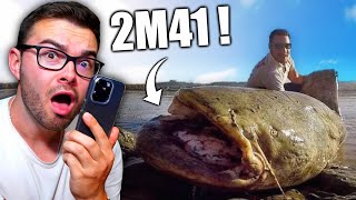 JE RÉAGIS A VOS VIDEOS DE PÊCHE  2 cest incroyable [upl. by Kissner857]