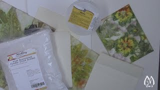 What is Alum for Eco Printing  Details for Paper Aluming  Ideas  Tips  Why [upl. by Werd]