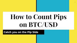 How to Count Pips on Bitcoin BTCUSD [upl. by Leahcimrej]